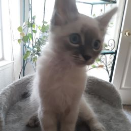 Frankie says thank you so much for loving and caring all my fur friends...you gave me hope Frankie says thank you so much for loving and caring all my fur friends...you gave me hope