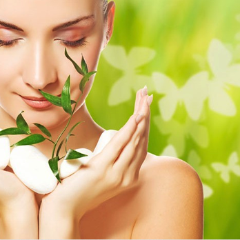 Twisted Herb Alchemy - Skin Care Near Me - Tempe, Arizona Twisted Herb Alchemy - Skin Care Near Me - Tempe, Arizona
