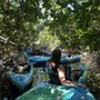 Photo of Big Pine Kayak Adventures