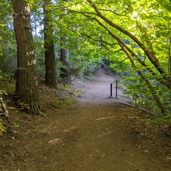 Heaps Peak Arboretum  - Botanical Gardens Near Me - Lake Arrowhead, California