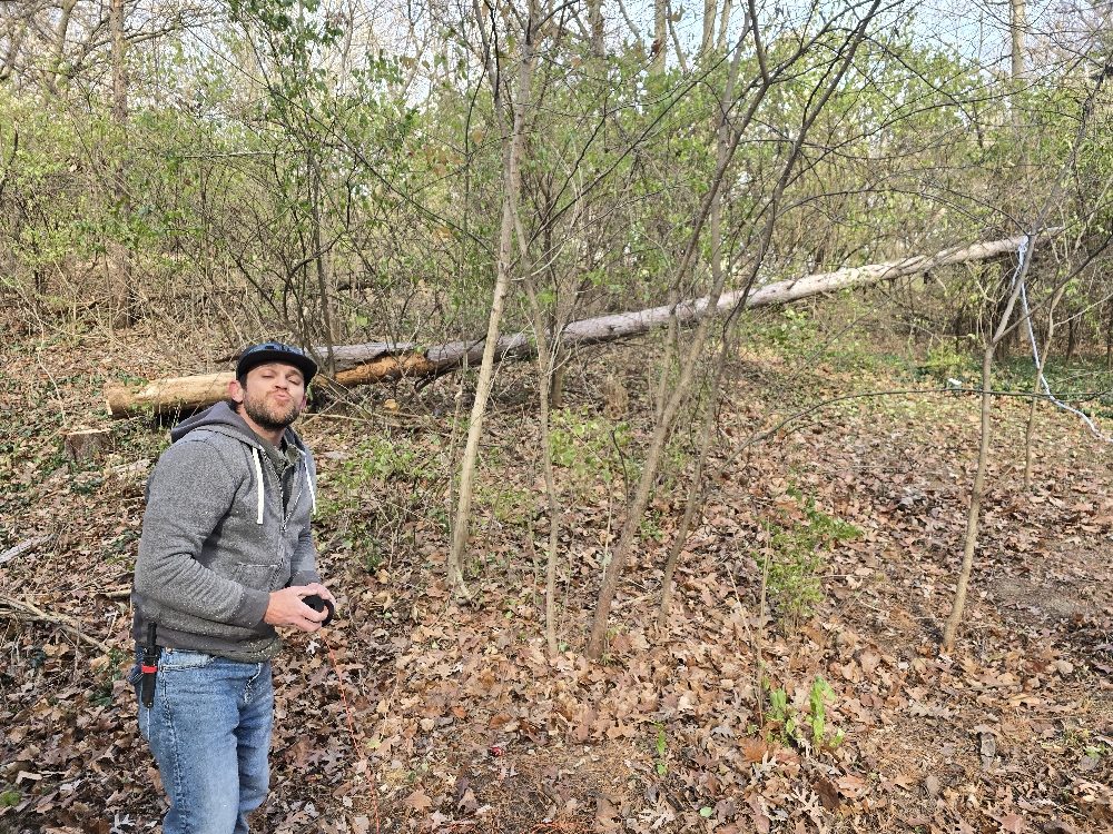 Busy Beavers Wood Works - tree service in Peoria, IL