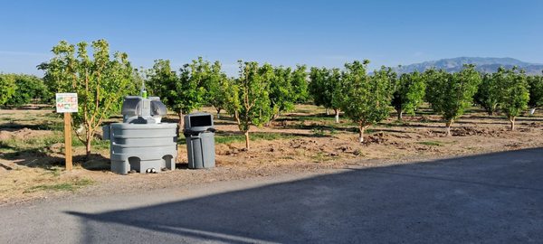 Gilcrease Orchard by null