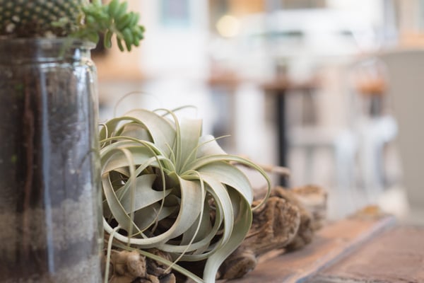 Hob Coffee East Village by null