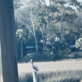 Charleston Crab House - Pelican - Seafood Near Me - Charleston, South Carolina