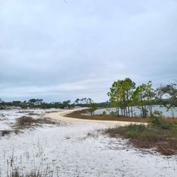Bon Secour National Wildlife Refuge - Trail back from the beach