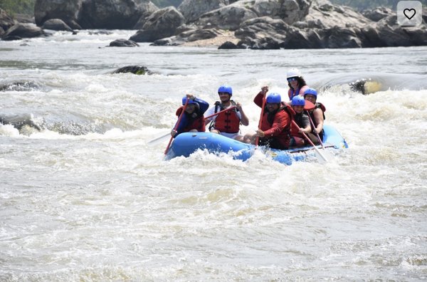 French Broad Adventures by null