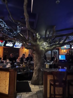 Sofia Restaurant by null