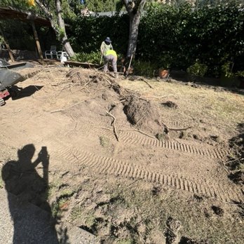 Purchase Green Artificial Grass - Work in Progress - Artificial Turf Near Me - Petaluma, California Purchase Green Artificial Grass - Work in Progress - Artificial Turf Near Me - Petaluma, California