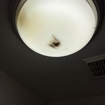 La Quinta Inn by Wyndham Phoenix Thomas Road - Dead bugs in light cover - Hotels Near Me - Phoenix, Arizona