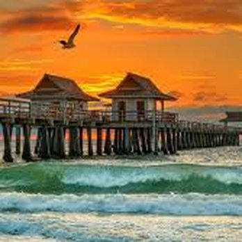 Brenda's Bookkeeping - Bookkeepers Near Me - Naples, Florida Brenda's Bookkeeping - Bookkeepers Near Me - Naples, Florida