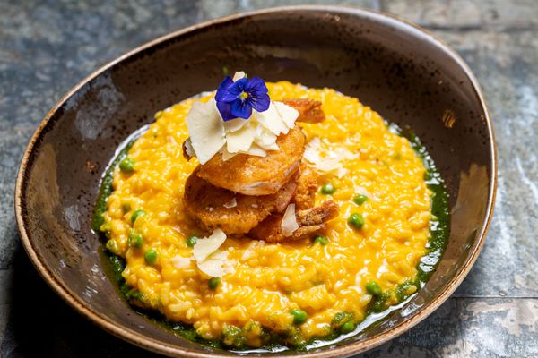 The Cage in Audubon by null