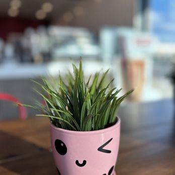 Gong Cha - Bubble Tea Near Me - San Antonio, Texas Gong Cha - Bubble Tea Near Me - San Antonio, Texas