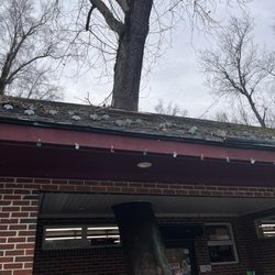 Moore's Country Store - The tree is still there, growing through the roof.
