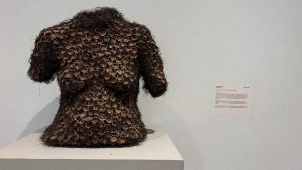 Hilliard Art Museum by null