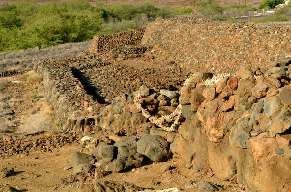 Puʻukoholā Heiau National Historic Site by null