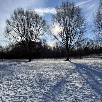 Warner Dog Park - Cold but fun! - Dog Parks Near Me - Madison, Wisconsin Warner Dog Park - Cold but fun! - Dog Parks Near Me - Madison, Wisconsin