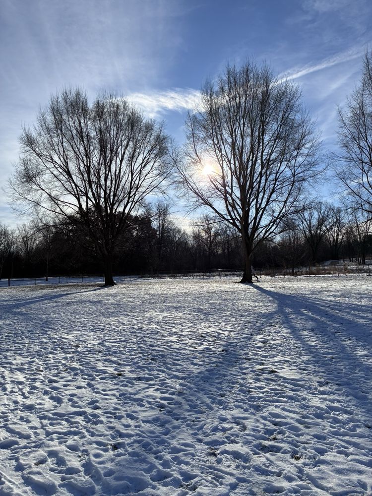 Warner Dog Park Logo