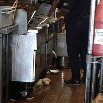 Wingstop - Absolutely GROSS! This place needs a Health Inspection! - Chicken Wings Near Me - Oklahoma City, Oklahoma Wingstop - Absolutely GROSS! This place needs a Health Inspection! - Chicken Wings Near Me - Oklahoma City, Oklahoma