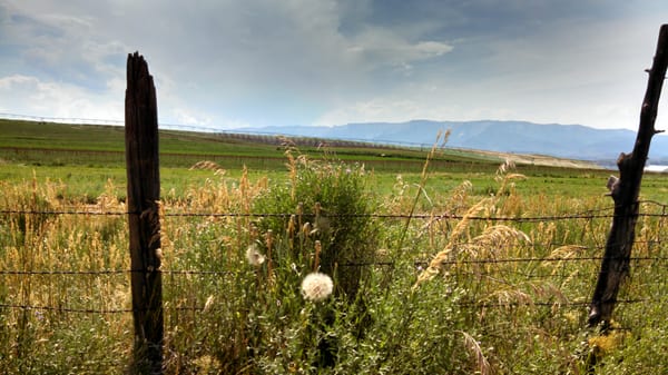 Eagle Springs Organic