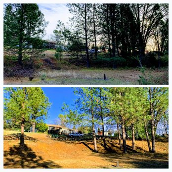 AR-17 Land & Tree - Landscaping Near Me - Colfax, California AR-17 Land & Tree - Landscaping Near Me - Colfax, California