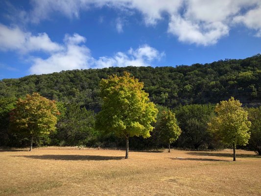 Lost Maples State Natural Area by null