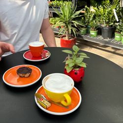 Zocalo - Cappuccino and peanut butter cup