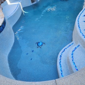 North Star Pools Plastering - Wow! Just Wow! We LOVE our new pool. - Pool & Hot Tub Service Near Me - Sacramento, California North Star Pools Plastering - Wow! Just Wow! We LOVE our new pool. - Pool & Hot Tub Service Near Me - Sacramento, California