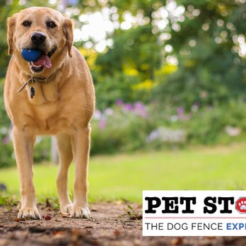 Outdoor Services - Pet Stop of Virginia - Landscaping Near Me - Mechanicsville, Virginia Outdoor Services - Pet Stop of Virginia - Landscaping Near Me - Mechanicsville, Virginia