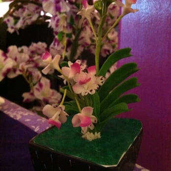Cattleya Thai Restaurant - Cattleya (Orchid) - Thai Near Me - Warrnambool, VIC