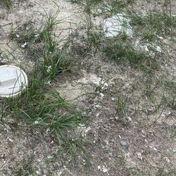 Higgins Lake / Roscommon KOA - Toilet paper/sewage