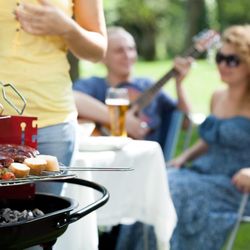Lawn & Leisure - Lawn and Leisure