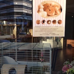 small pet stores near me