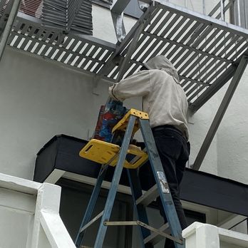 Noe Valley Bees - Pest Control Near Me Noe Valley Bees - Pest Control Near Me