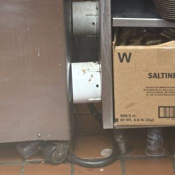 Wendy's - Fast Food Near Me - Ephrata, Pennsylvania