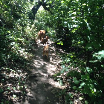 John and Mary Beth’s Pet Sitting - Tigger, Rigby & Ellie - Dog Walkers Near Me - Fort Bragg, California John and Mary Beth’s Pet Sitting - Tigger, Rigby & Ellie - Dog Walkers Near Me - Fort Bragg, California