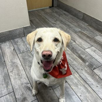 Grooming Tails - Pet Groomers Near Me - Scottsdale, Arizona Grooming Tails - Pet Groomers Near Me - Scottsdale, Arizona