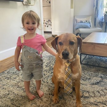 GROOM! Salon - Pet Groomers Near Me - Silver Spring, Maryland GROOM! Salon - Pet Groomers Near Me - Silver Spring, Maryland