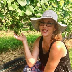 Thiele Chiropractic: Steven Thiele, DC - Pindar Vineyard, Long Island