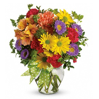 Reed's Flowers - Florists Near Me - Waco, Texas Reed's Flowers - Florists Near Me - Waco, Texas