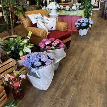 Flower Market - Florists Near Me - Boynton Beach, Florida Flower Market - Florists Near Me - Boynton Beach, Florida