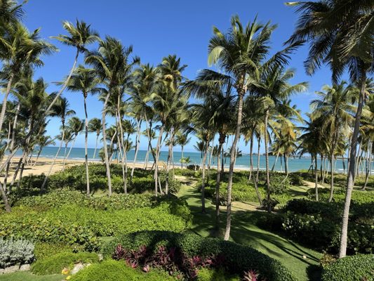 The St. Regis Bahia Beach Resort, Puerto Rico by null