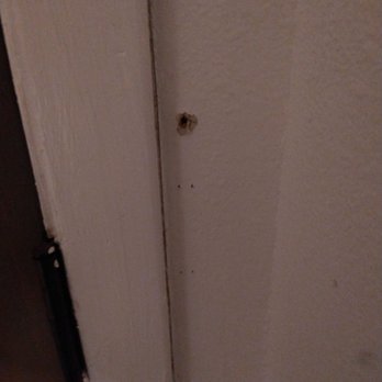 Vivint - More holes with no purpose - Security Systems Near Me - Austin, Texas Vivint - More holes with no purpose - Security Systems Near Me - Austin, Texas