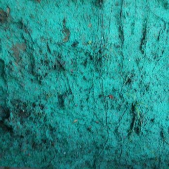 Olympia Hydroseeding - Hydroseeded steep bank in Shelton for erosion control - Landscaping Near Me Olympia Hydroseeding - Hydroseeded steep bank in Shelton for erosion control - Landscaping Near Me
