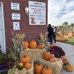 Mabey’s Pumpkin Patch - Menu and front pumpkin options