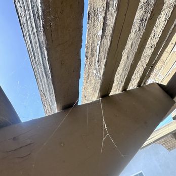 Smart Pest Control - Webs - Pest Control Near Me - Irvine, California