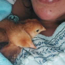 Moore's Feed & Seed Store - Easter chicks beautiful as can be