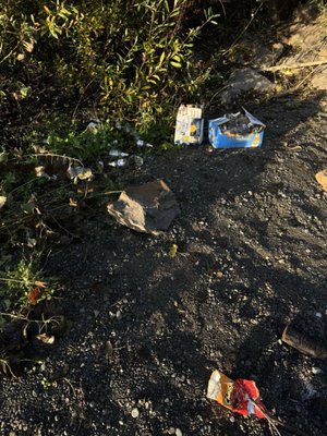 Wildhaven Sonoma Glamping by null