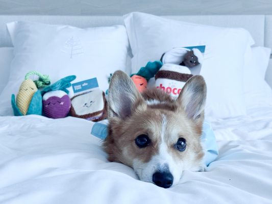 Four Seasons Hotel Las Vegas by null Four Seasons Hotel Las Vegas by null