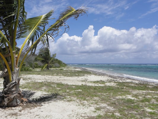Salt River Bay National Historical Park and Ecological Preserve by null