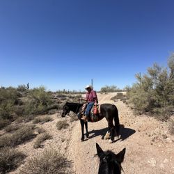 Superstitions OK Corral Stables - Best Tour Guide lol he was funny !!!